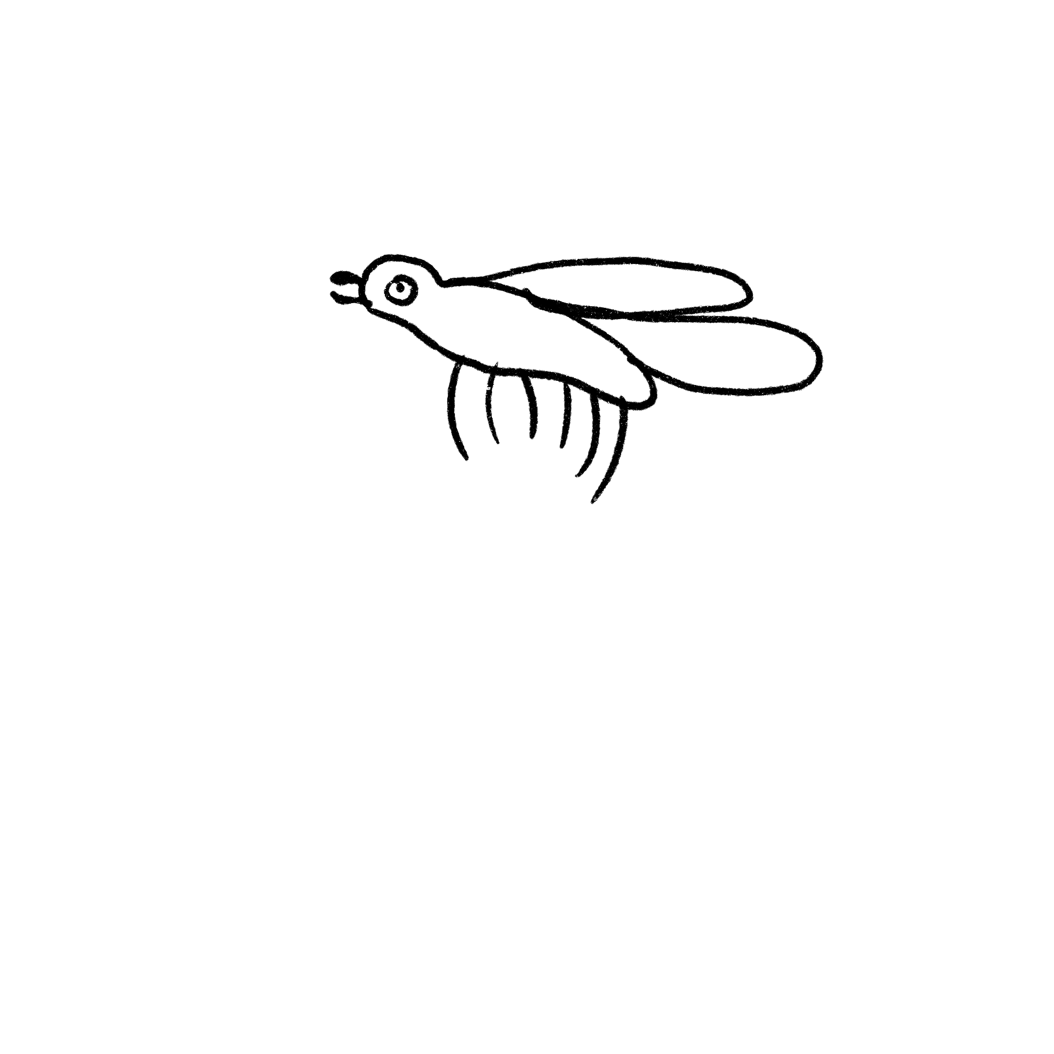drawing of bug option