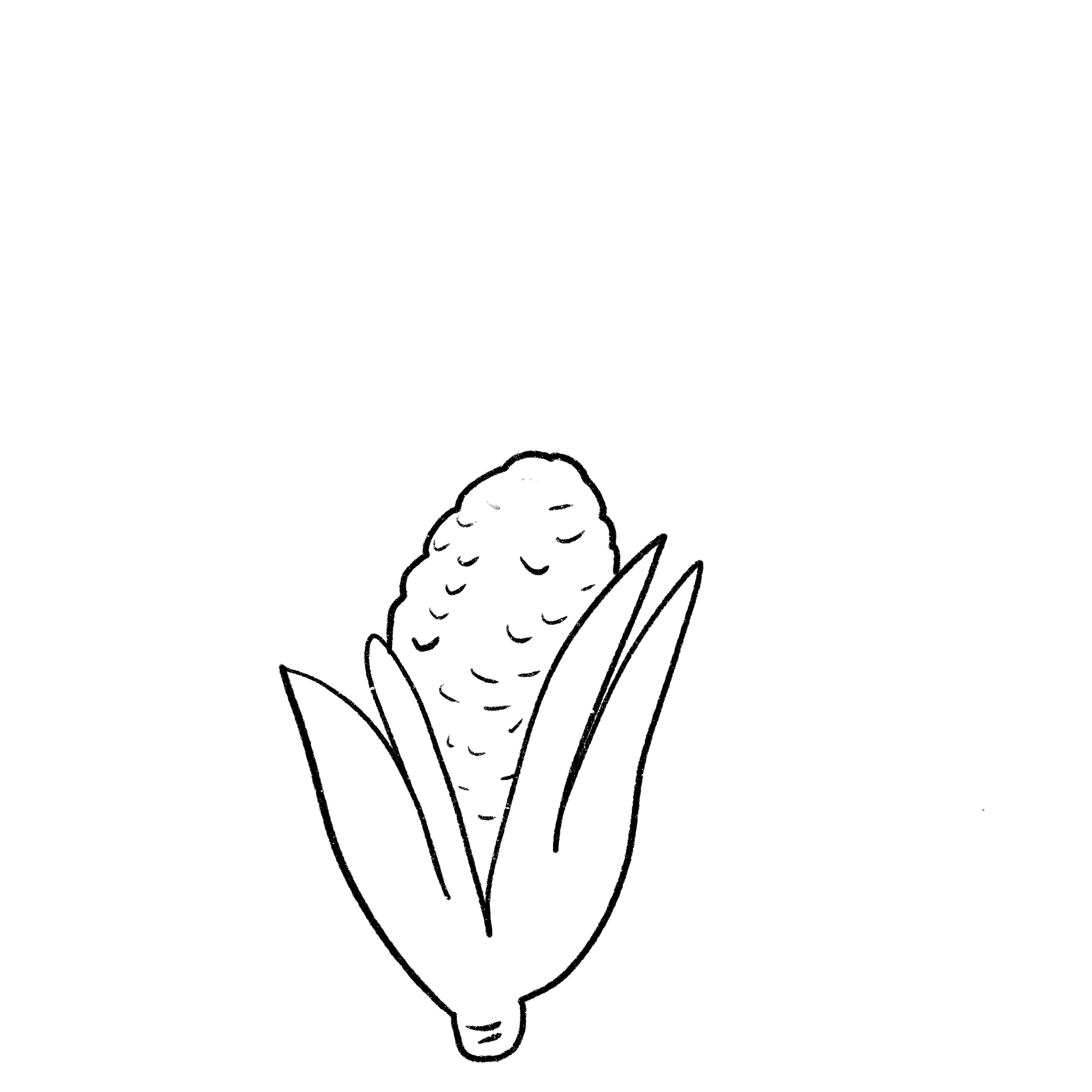 drawing of vegetable option